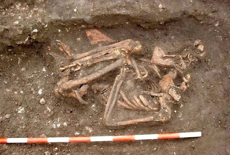 schelet medieval, Foto: On-Site Archaeology / SWNS / SWNS / Profimedia