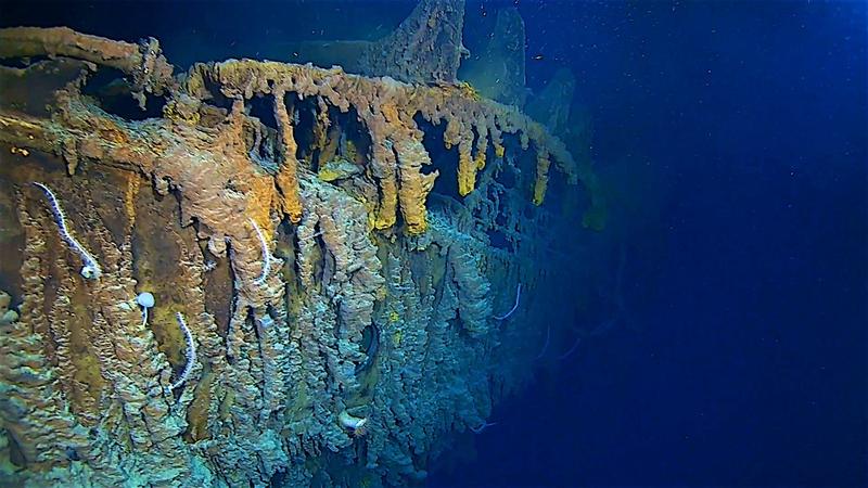 Epava Titanicului, Foto: HO / AFP / Profimedia