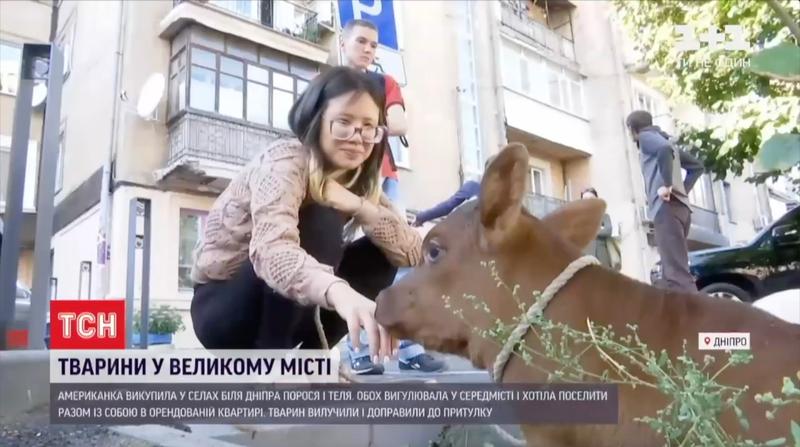 Alicia Day cu un alt vitel al ei in Ucraina, Foto: WillWest News / Profimedia Images