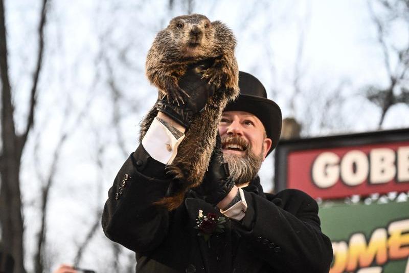 Marmota Phil, Foto: Fatih Aktas / AFP / Profimedia