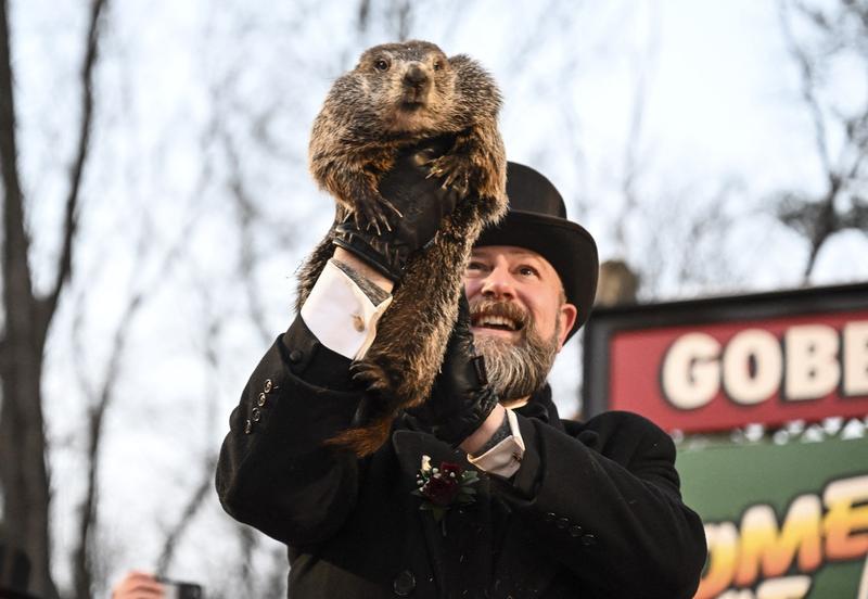 Marmota Phil, Foto: Fatih Aktas / AFP / Profimedia