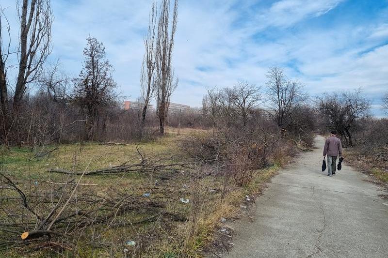 Defrișări in parcul IOR , Foto: Hotnews / Catiușa Ivanov