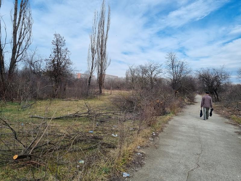 Defrișări in parcul IOR , Foto: Hotnews / Catiușa Ivanov