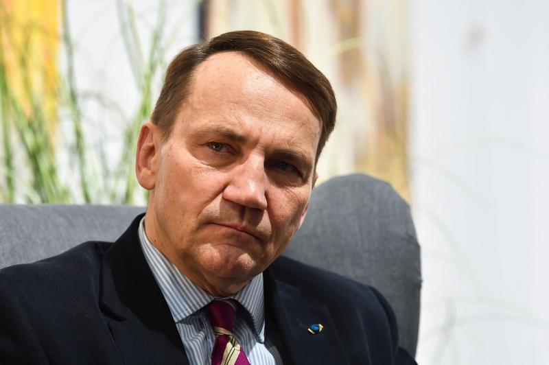 Radoslaw Sikorski, Foto: Andrzej Lange / PAP / Profimedia