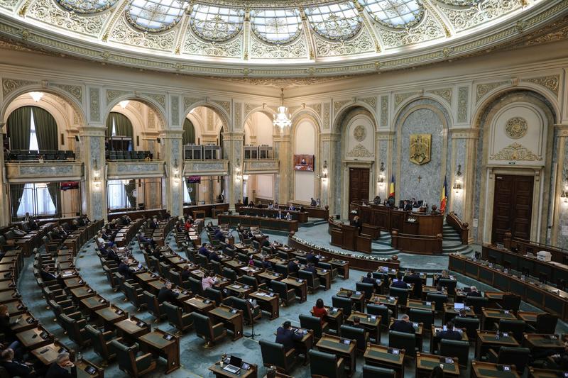 Proiectul pentru protecția victimelor violenței domestice adoptat de Senat