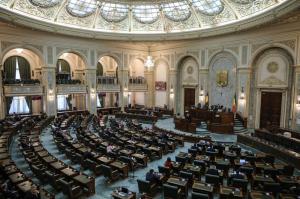 Senatul Romaniei, Foto: Inquam Photos / Alexandru Busca