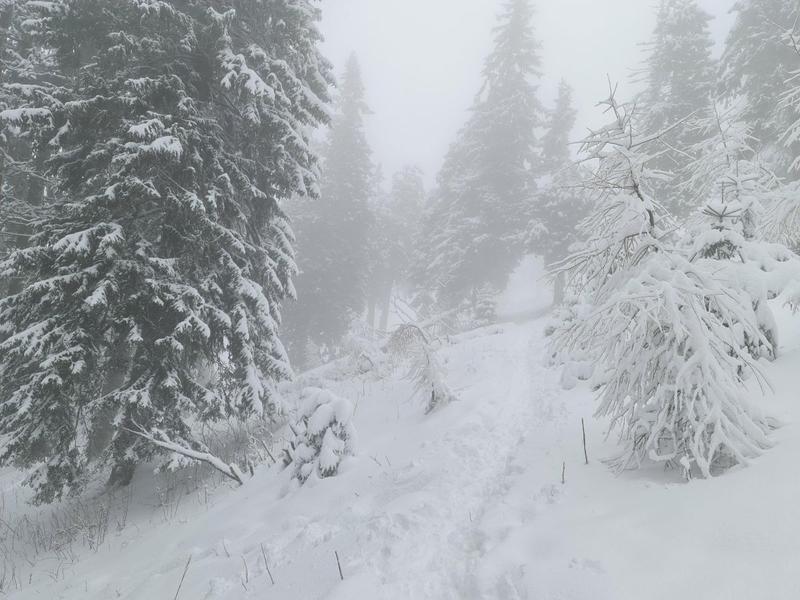 Peisaj de iarna, Foto: Vlad Barza / HotNews.ro