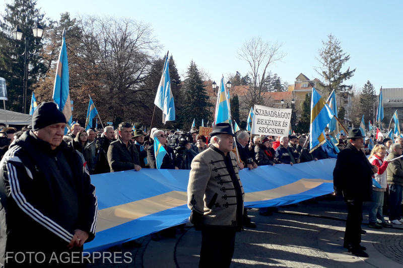 Steaguri secuiești la un miting pentru autonomie, Foto: AGERPRES