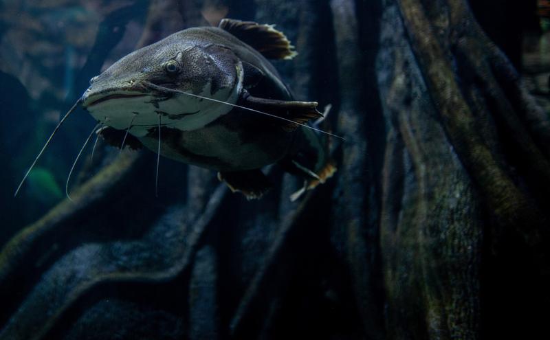 somn, Foto: AA/ABACA / Abaca Press / Profimedia