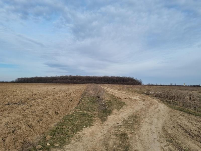 Sectorul 0 Mogosoaia, Foto: HotNews/Catiusa Ivanov