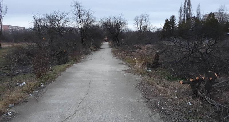 Copaci tăiați în Parcul IOR, Foto: HotNews.ro/ Gruia Dragomir