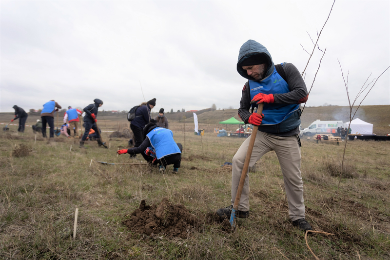 Proiectul „România plantează pentru mâine" a atras peste 10.000 de voluntari în perioada 2020-2022, Foto: OMV Petrom