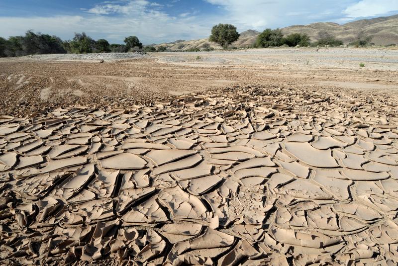 secetă, Foto: Peter Groenendijk / robertharding / Profimedia