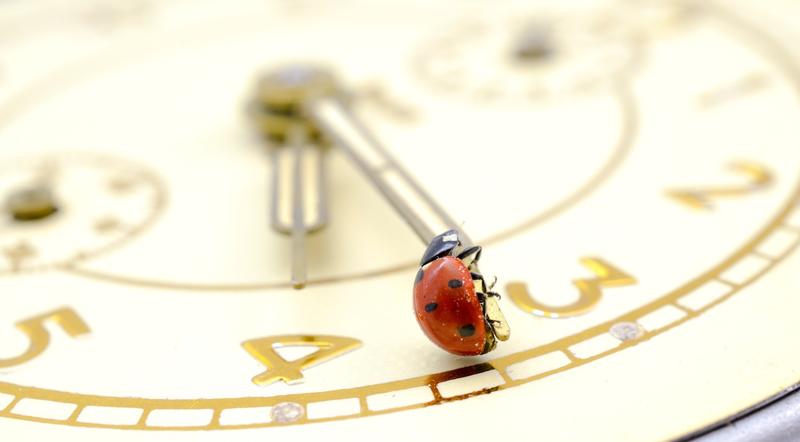 Ora de vară: România schimba ora în acest weekend, Foto: nehru Sulejmanovski / Panthermedia / Profimedia