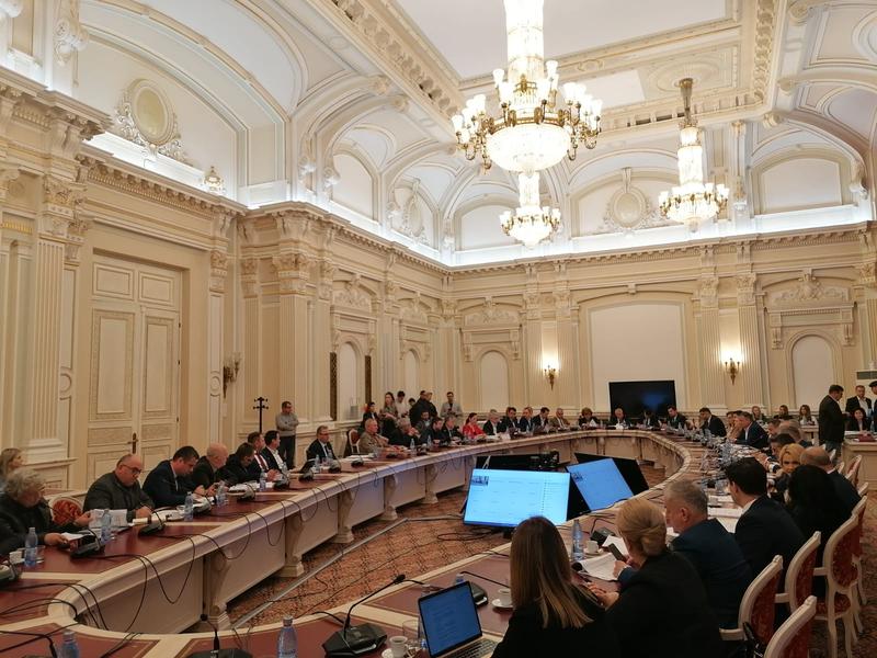 Dezbateri in comisiile parlamentare, Foto: Hotnews / Luminița Pîrvu
