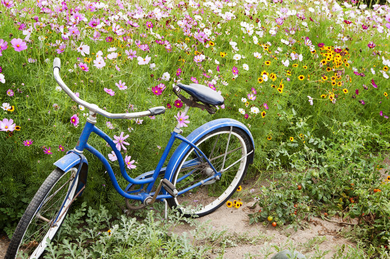 Bicicleta, Foto: Marilyn Gould | Dreamstime.com