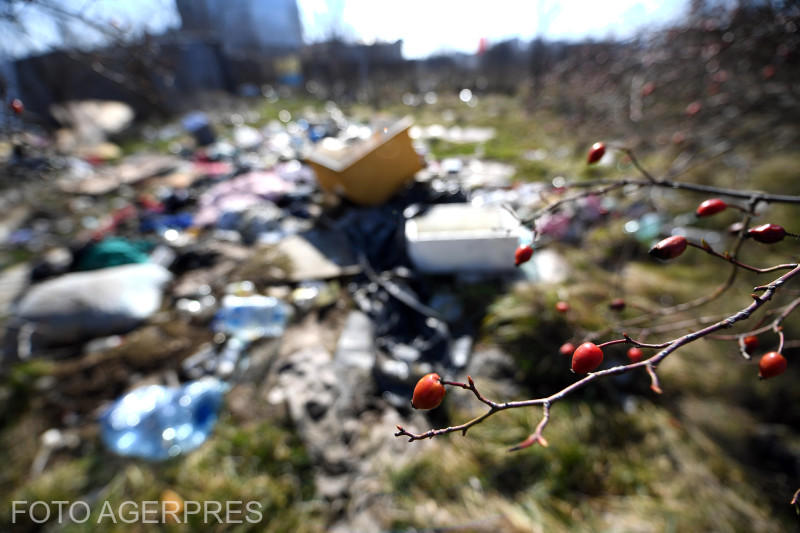 Deșeuri, Foto: Agerpres