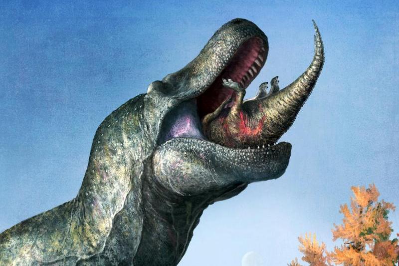 Tyranosaurus Rex, Foto: Mark Witton / SWNS / SWNS / Profimedia