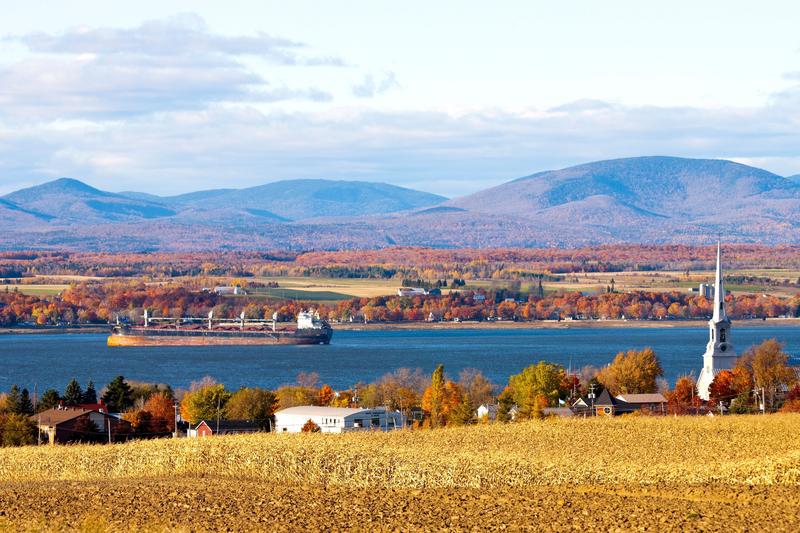 rau St. Lawrence, Foto: All Canada Photos / Alamy / Alamy / Profimedia