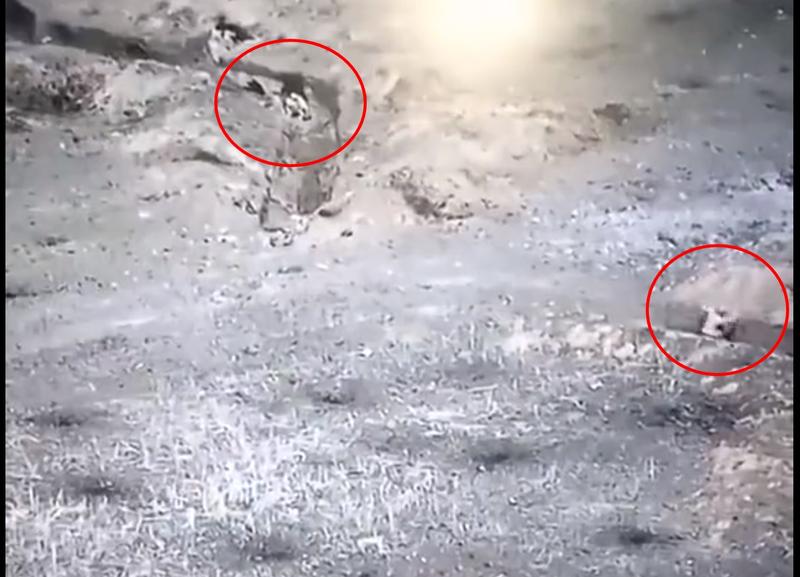 Cum arată o aruncare de grenadă perfectă, Foto: Captură video