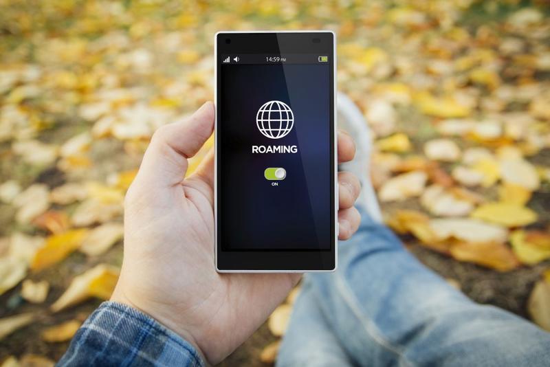 Risc de roaming involuntar, Foto: Georgejmclittle / Dreamstime.com