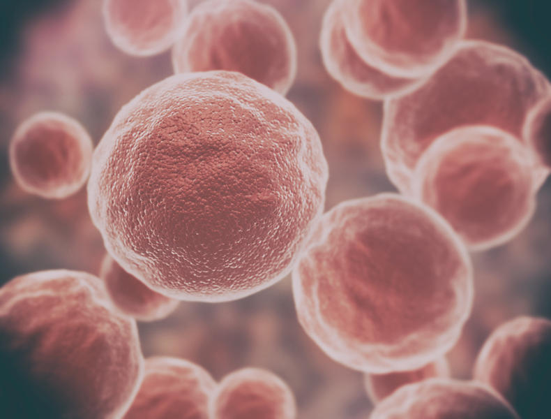 Celule canceroase, Foto: Jezper | Dreamstime.com