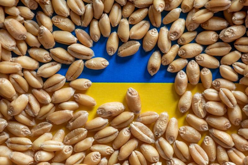 Cereale ucrainene, Foto: Adam Radosavljevic / Alamy / Alamy / Profimedia