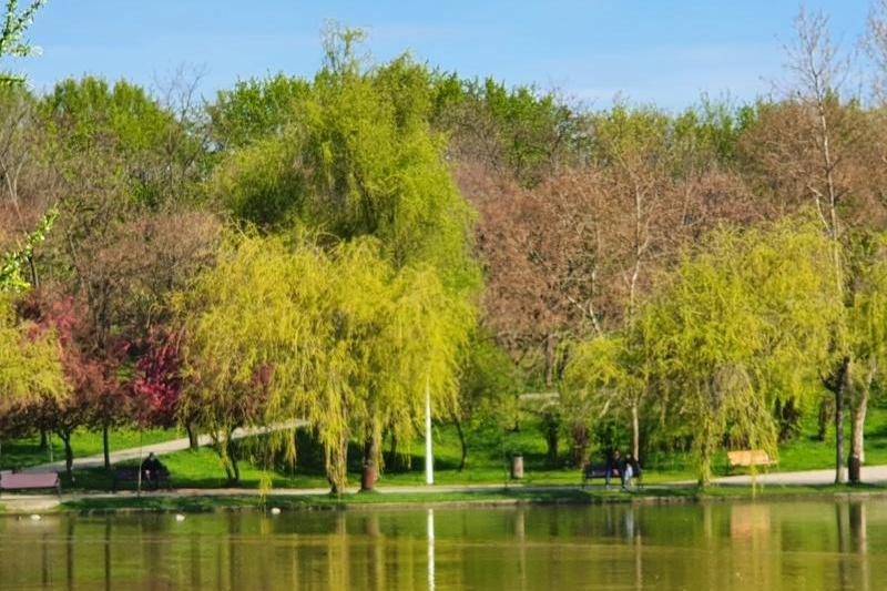 Parcul IOR primăvara, Foto: HotNews/Catiusa Ivanov