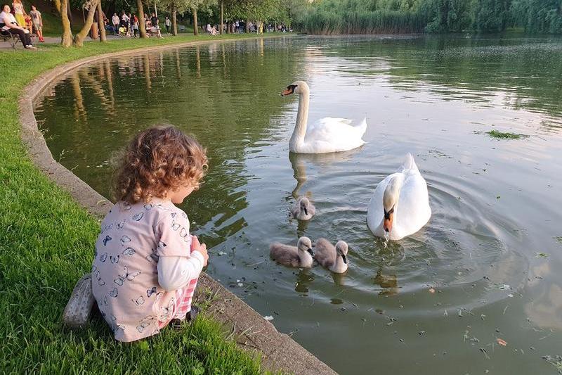 Parcul IOR vara, Foto: HotNews/Catiusa Ivanov