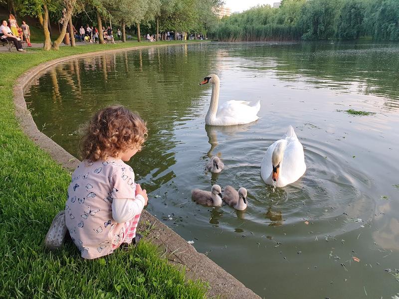 Parcul IOR vara, Foto: HotNews/Catiusa Ivanov