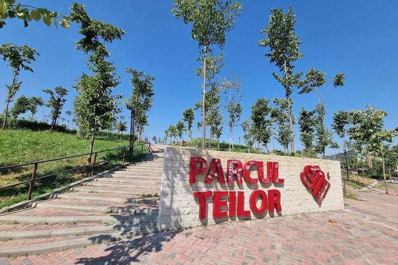 Parcul Teilor, Foto: HotNews/Catiusa Ivanov