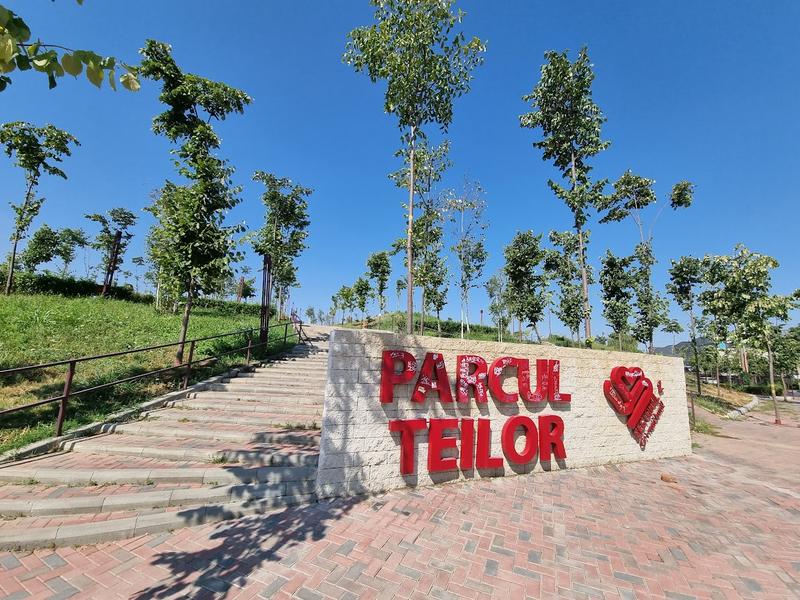 Parcul Teilor, Foto: HotNews/Catiusa Ivanov