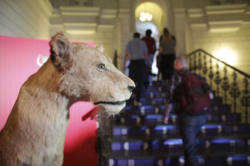 Muzeul Naţional de Istorie Naturală „Grigore Antipa”, Foto: Inquam Photos / Octav Ganea