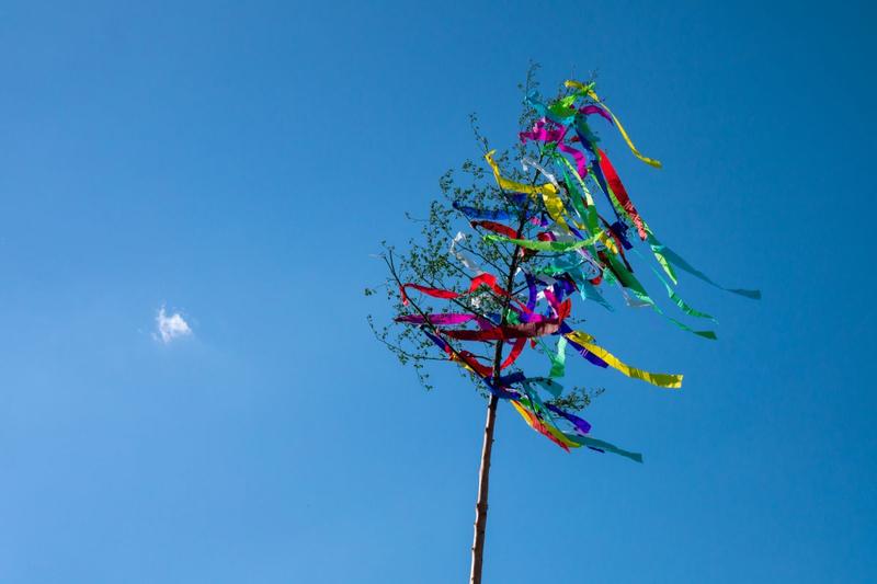 Pom decorat cu panglici colorate pentru 1 Mai, Foto: Bernadett Pogacsas-Simon, Dreamstime.com