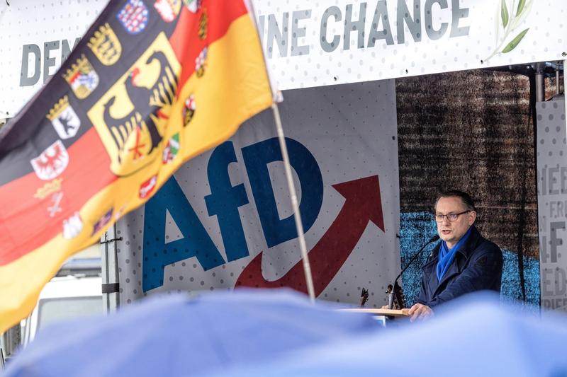 Miting electoral al AfD, Foto: dpa picture alliance / Alamy / Alamy / Profimedia