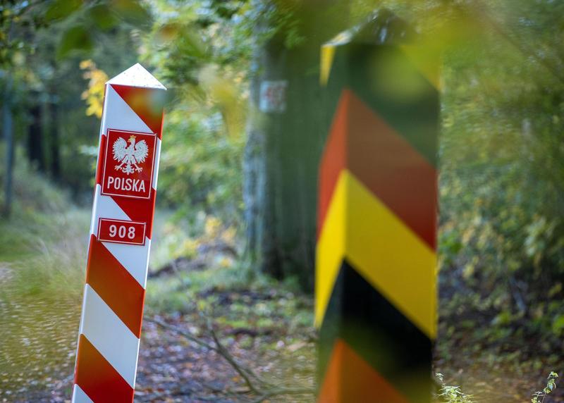 Padure din Polonia, Foto: dpa picture alliance / Alamy / Alamy / Profimedia