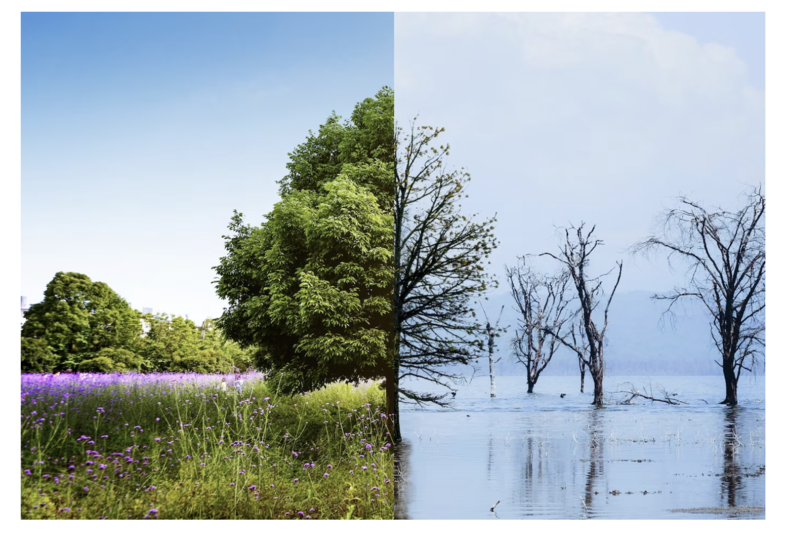 Schimbări climatice, Foto: freepik.com