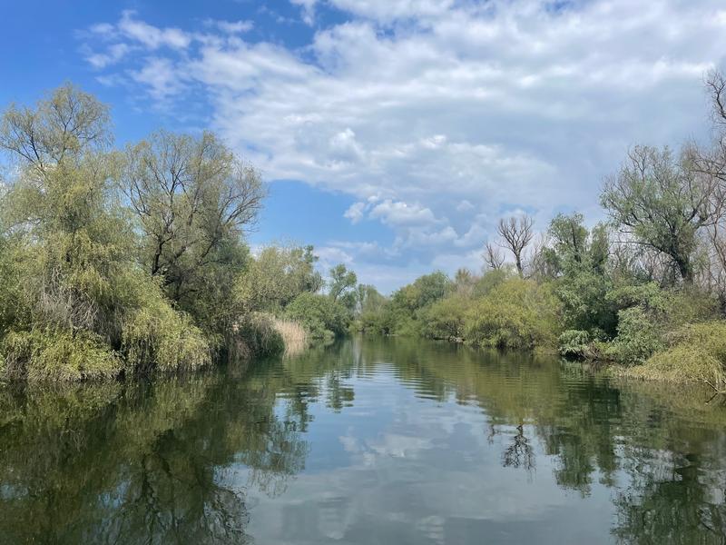 Delta Dunării, Foto: HotNews.ro/ Ana Tepșanu