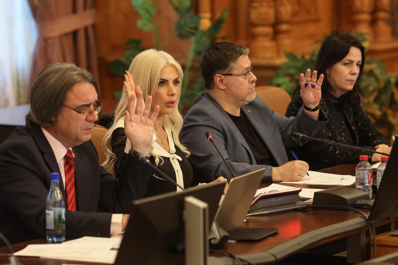 Dezbaterea pragului pentru abuzul în serviciu, Comisia Juridică, Foto: Inquam Photos - Sabin Cirstoveanu