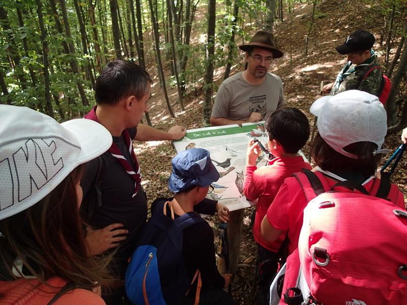 Florin Stoican, Foto: Ashoka