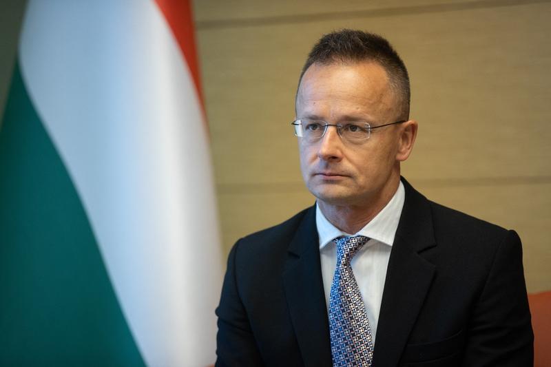 Peter Szijjarto, Foto: Omer Taha Cetin / AFP / Profimedia