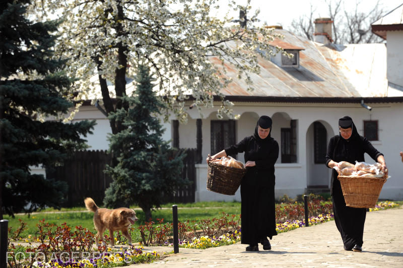 Viața la Zamfira, Foto: AGERPRES