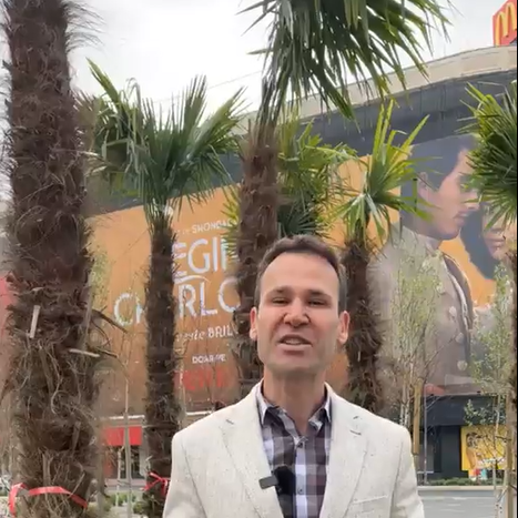 Palmieri în Piața Unirii, Foto: Robert Negoiță / Facebook