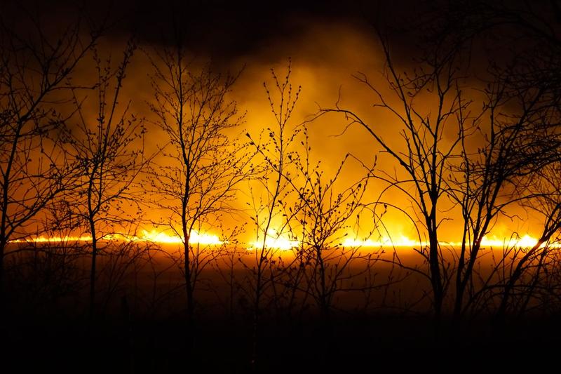 Incendiu de padure, Foto: Shutterstock