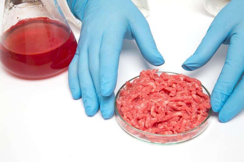 carne produsă în laborator, Foto: VICTOR DE SCHWANBERG / Sciencephoto / Profimedia