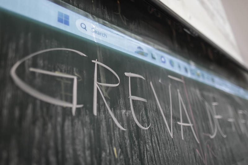 Greva in educatie, Foto: Inquam Photos / Octav Ganea