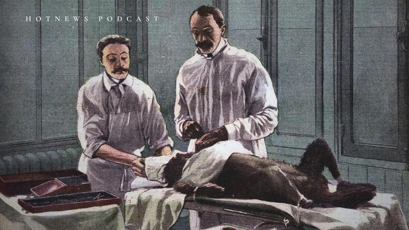 Istorii Bizare: Transplantul de testicule animale la om, Foto: Pictorial Press Ltd / Alamy / Alamy / Profimed