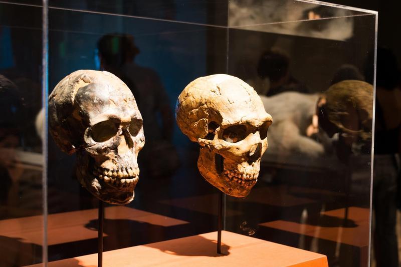 homo sapiens 120.000 ani Israel, Foto: Lev Tsimbler / Alamy / Alamy / Profimedia