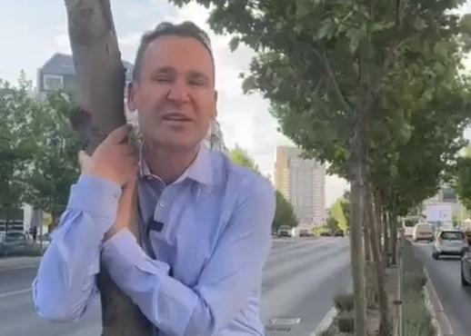 Robert Negoita și copacul ilegal, Foto: Captura video