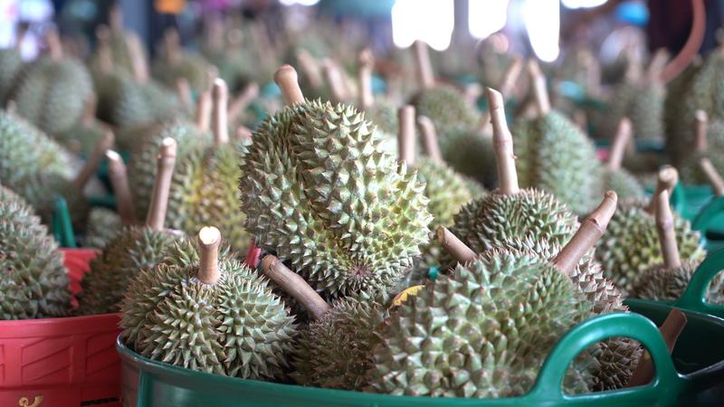 Fructe durian, Foto: Viral Press / Viral Press / Profimedia